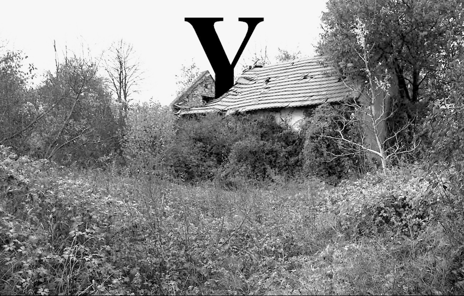 "Y"  (The film)